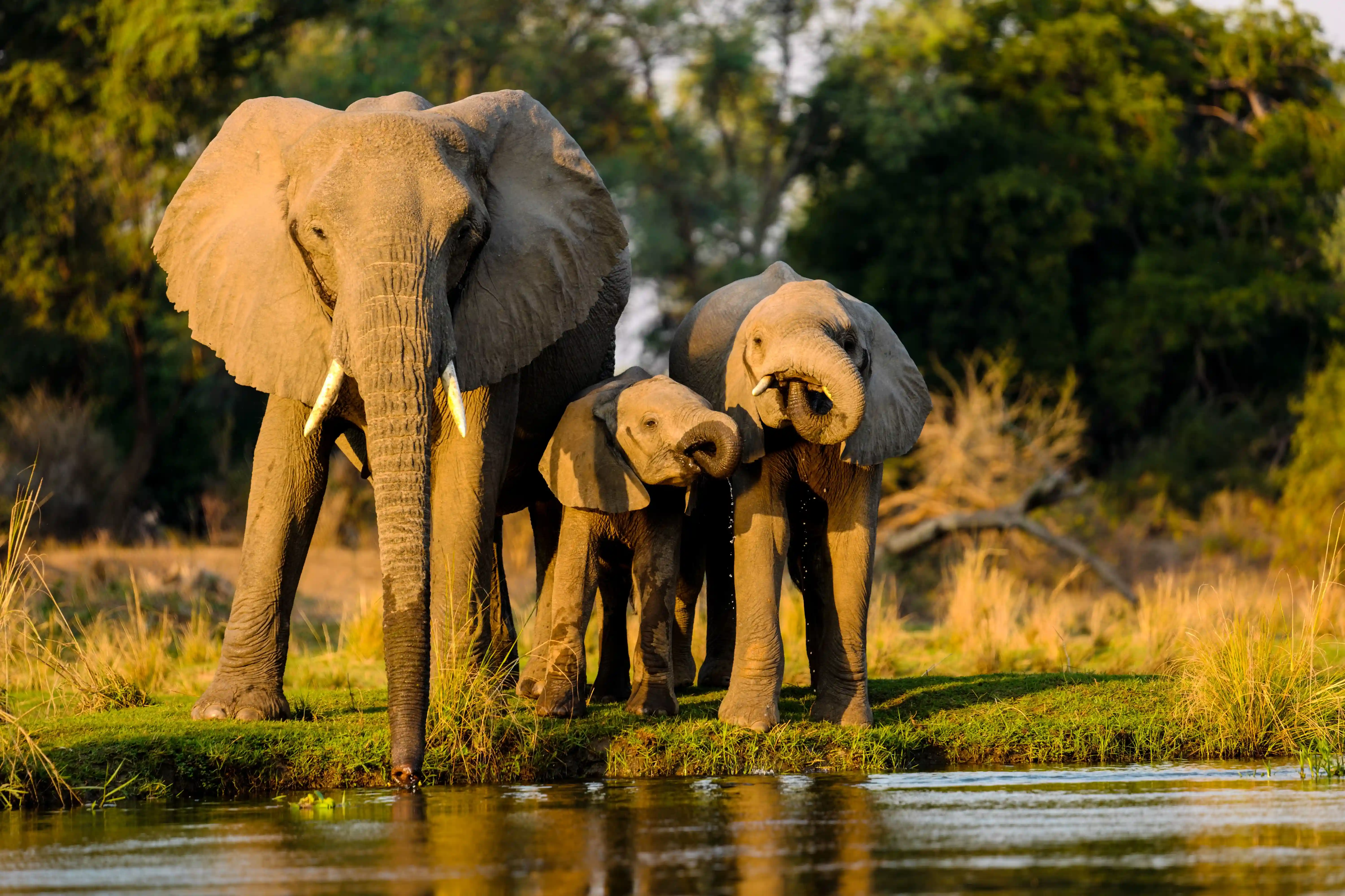 Rajaji National Park