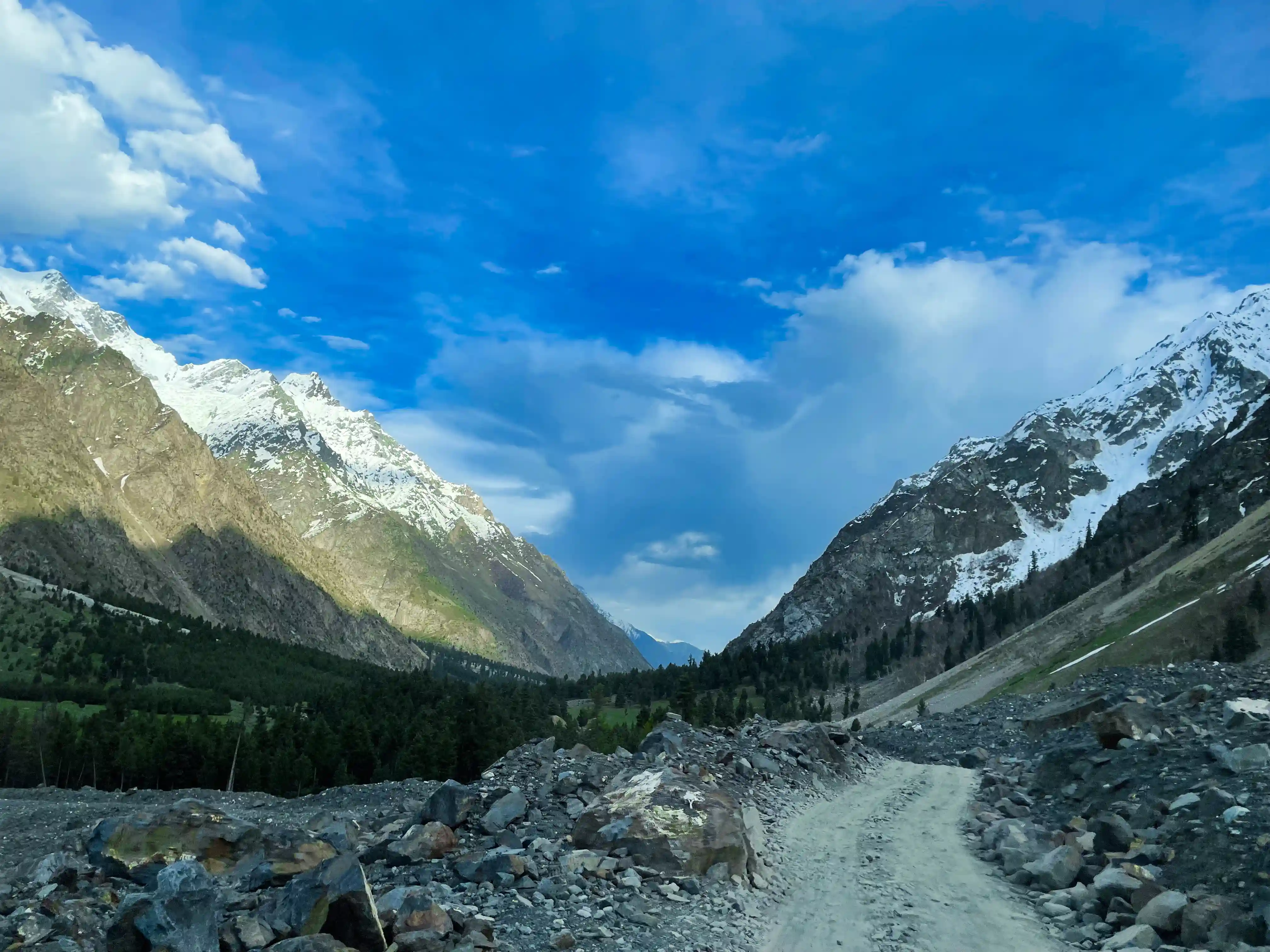 Triund Hill
