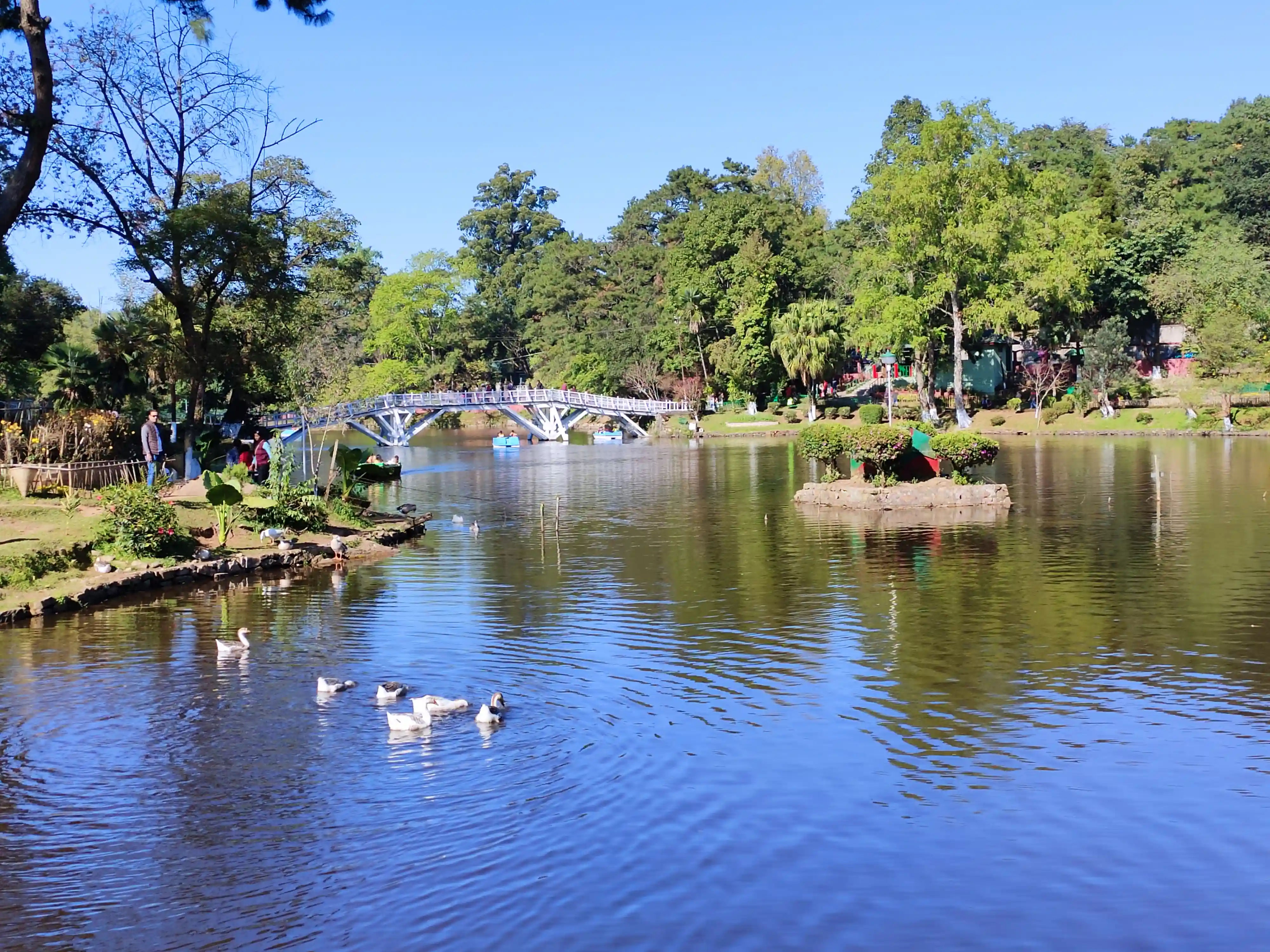 Ward’s Lake