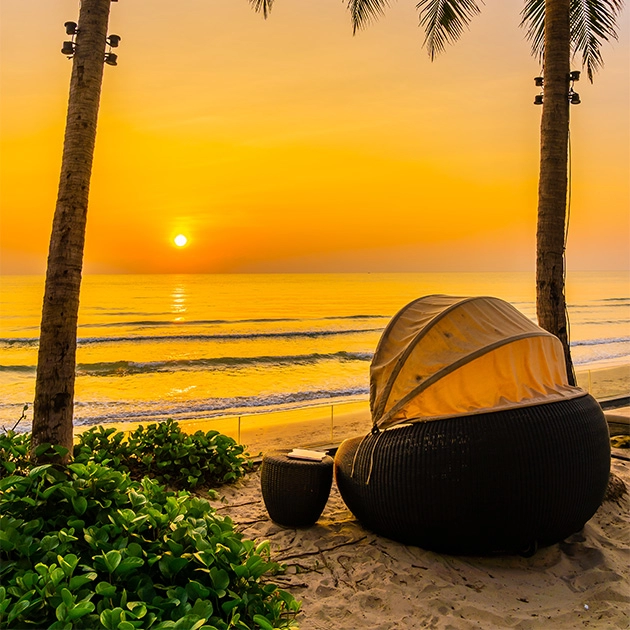 Experience the Magic of Goa