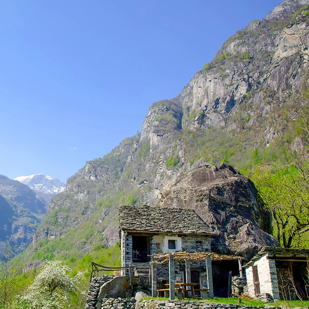 Experience the Serenity of Dharamshala