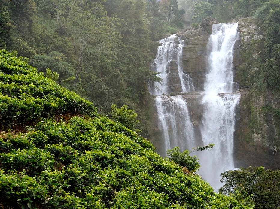 Shillong
